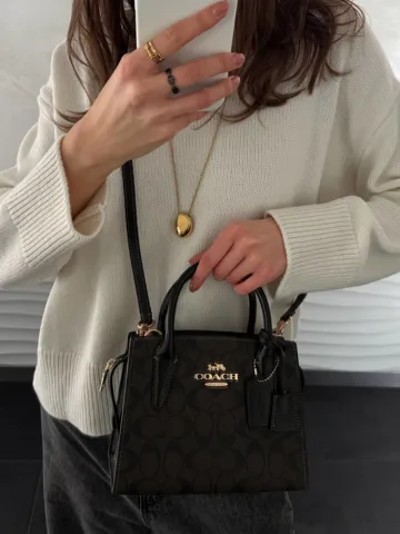 Coach Andrea Carryall In Signature Canvas Brown/Black